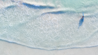 Stock Image Surfer In The See