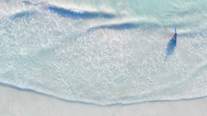 Stock Image Surfer In The See